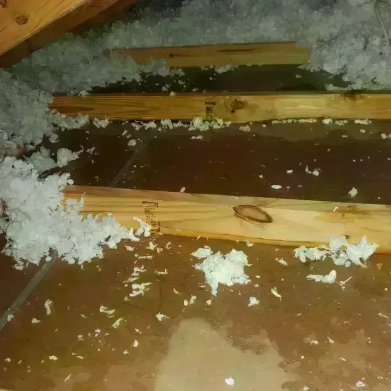 Attic Water Damage in Spencerville, MD